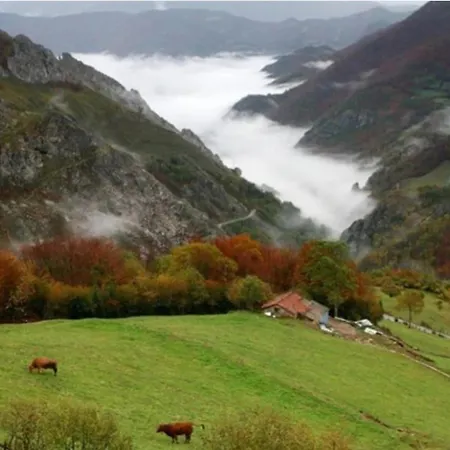 La Falguera